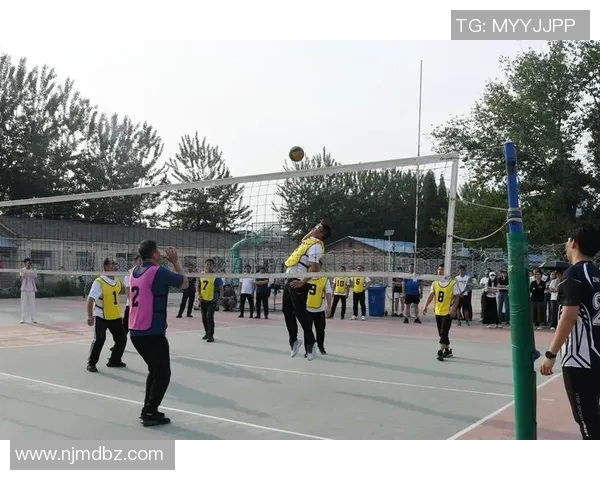 排球心理素质评比揭晓西安排球队荣登第五位引发关注